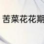 苦菜花花期多长（苦菜花老演员介绍）