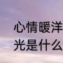心情暖洋洋是哪首歌歌词（到处是阳光是什么歌）