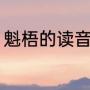 魁梧的读音是什么（魁梧读音是什么）