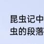 昆虫记中的名人名言（昆虫记描写昆虫的段落或句子）