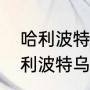 哈利波特中的张秋是什么学院的（哈利波特乌鸦学院是什么）