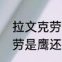 拉文克劳代表的含义是什么（拉文克劳是鹰还是乌鸦）