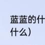 蓝蓝的什么填空词语一年级（蓝蓝的什么）