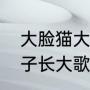 大脸猫大脸猫爱吃鱼是什么歌曲（孩子长大歌）