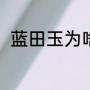 蓝田玉为啥不要买（什么是蓝田玉）