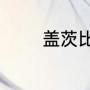 盖茨比是什么意思网络用语