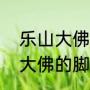 乐山大佛发朋友圈的经典句子（乐山大佛的脚有多大）