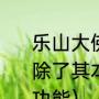 乐山大佛头部描写（乐山大佛在古代除了其本身的宗教功能外,还具有什么功能）