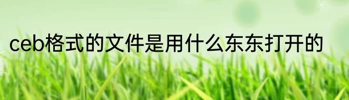 ceb格式的文件是用什么东东打开的