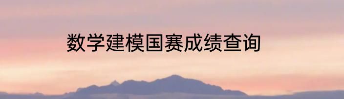 数学建模国赛成绩查询