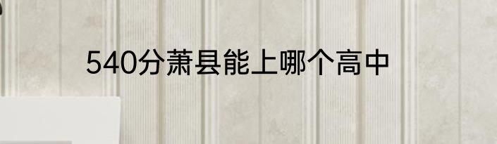 540分萧县能上哪个高中
