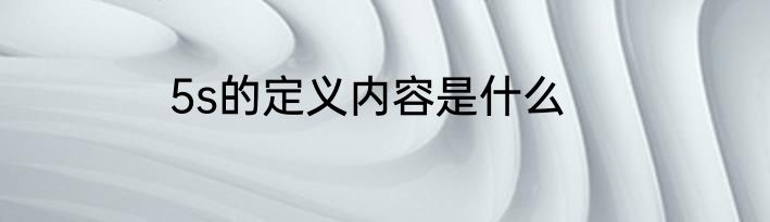 5s的定义内容是什么