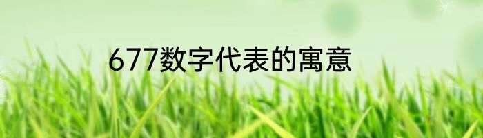 677数字代表的寓意
