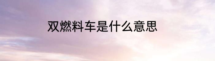 双燃料车是什么意思