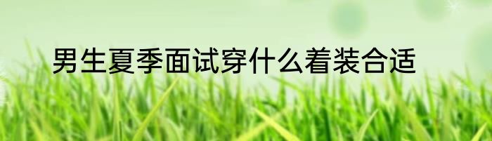 男生夏季面试穿什么着装合适