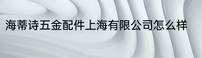 海蒂诗五金配件上海有限公司怎么样