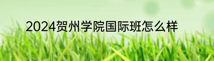 2024贺州学院国际班怎么样