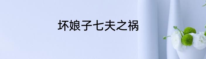 坏娘子七夫之祸