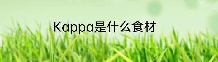 Kappa是什么食材