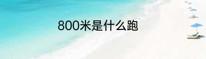 800米是什么跑