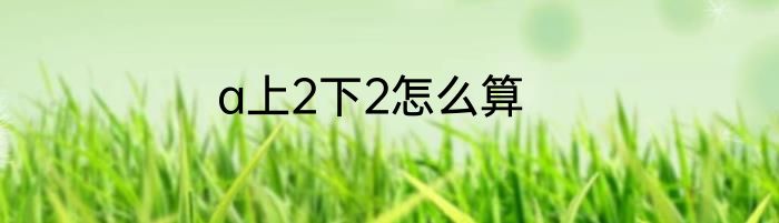a上2下2怎么算