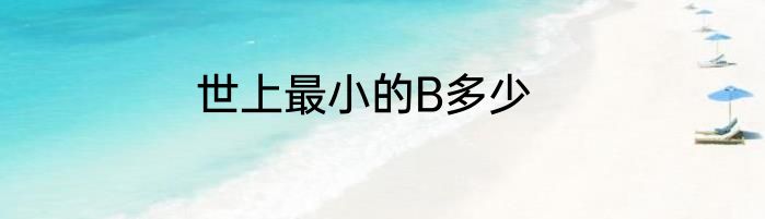 世上最小的B多少