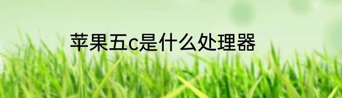 苹果五c是什么处理器