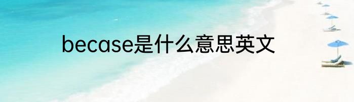 becase是什么意思英文
