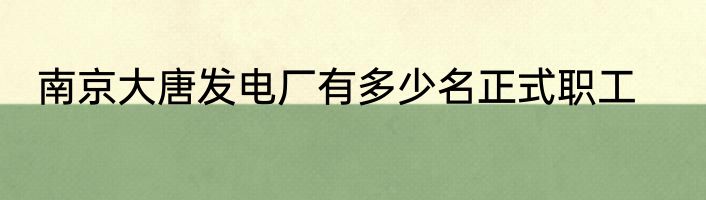 南京大唐发电厂有多少名正式职工