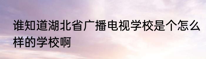 谁知道湖北省广播电视学校是个怎么样的学校啊