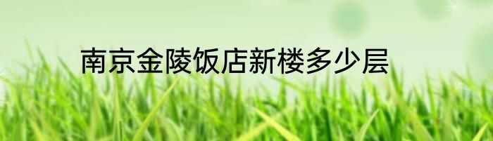 南京金陵饭店新楼多少层