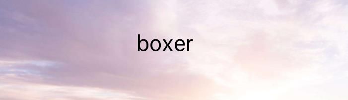 boxer