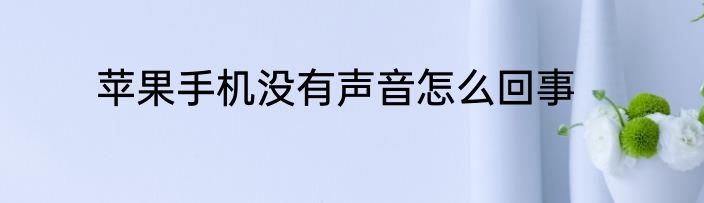 苹果手机没有声音怎么回事
