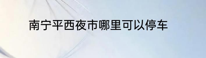 南宁平西夜市哪里可以停车