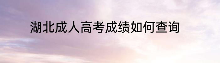 湖北成人高考成绩如何查询
