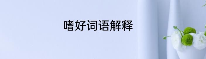 嗜好词语解释
