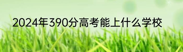 2024年390分高考能上什么学校